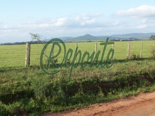 Fazenda em Rio Pardo