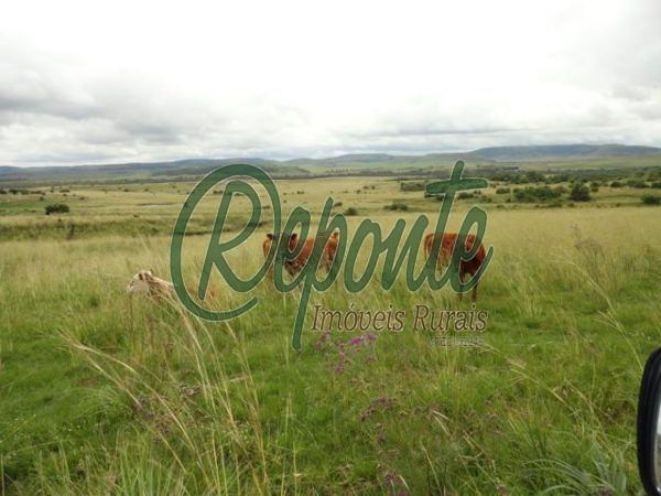 Fazenda em Rosário do Sul