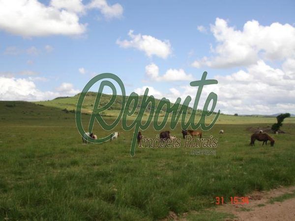 Fazenda em Rio Pardo