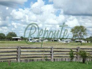 fazenda no paraguai