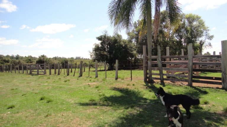 Fazenda em Cachoeira do Sul