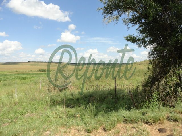 Fazenda em Rosário do Sul