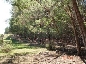 Fazenda em Vila Nova do Sul