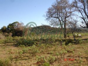 Fazenda em Bagé