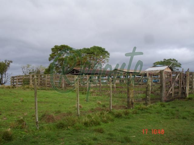 Fazenda em Rio Pardo