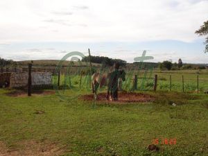 fazenda em Arroio dos Ratos