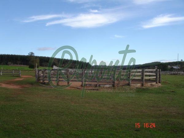 Fazenda em Arroio dos Ratos