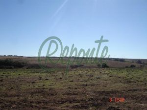fazenda em Quaraí