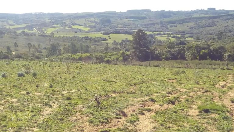 Chácara em Encruzilhada do Sul