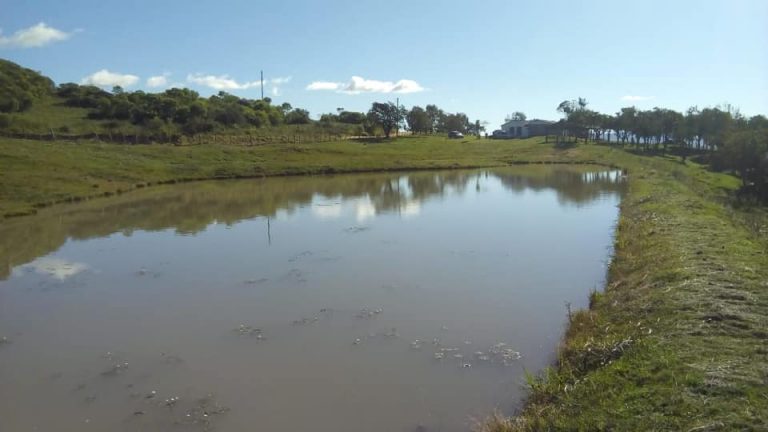 Chácara em Encruzilhada do Sul