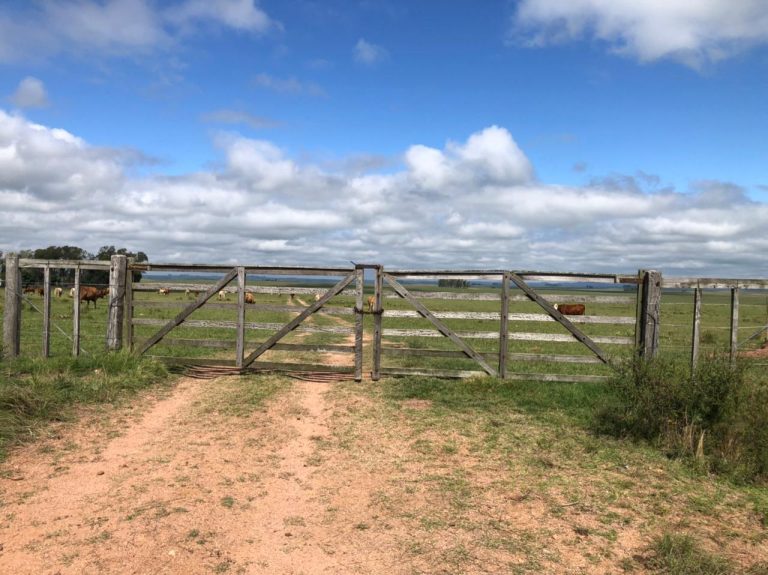 Fazenda no Uruguay – 600 hectares