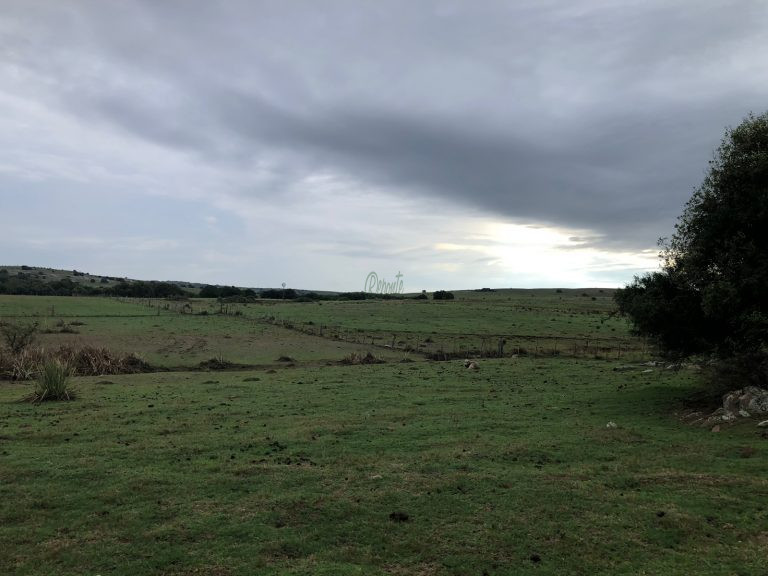 Fazenda em Cerro Largo/UY