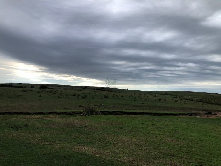 Fazenda em Cerro Largo – UY