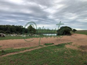 fazenda em cerro largo - uy