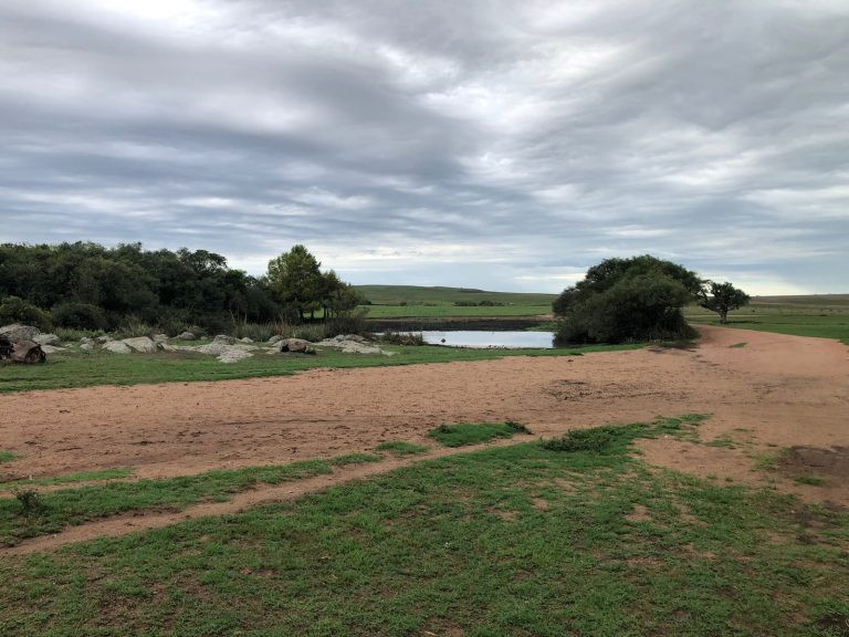 Fazenda em Cerro Largo – UY