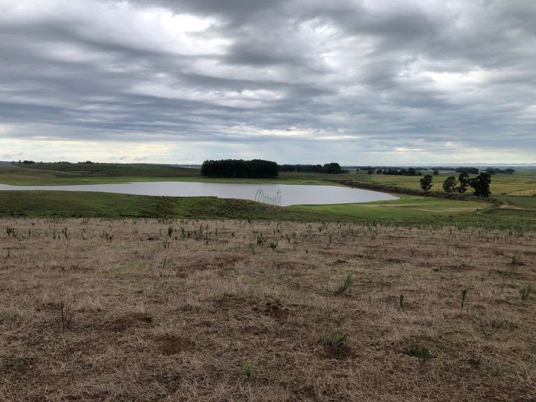 Fazenda em Cerro Largo – UY