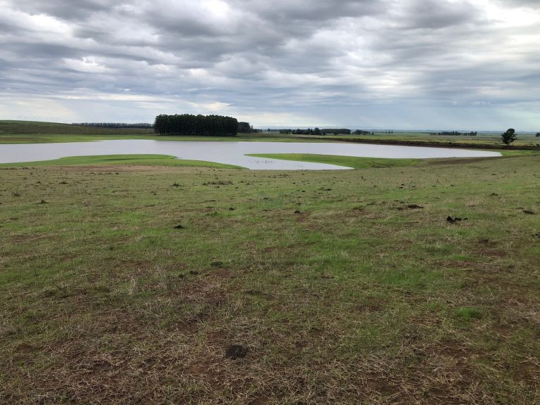 Fazenda em Cerro Largo/UY