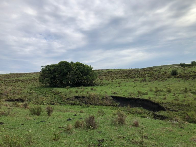 Fazenda em Cerro Largo/UY