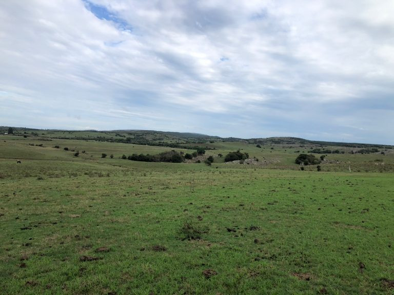 Fazenda em Cerro Largo/UY