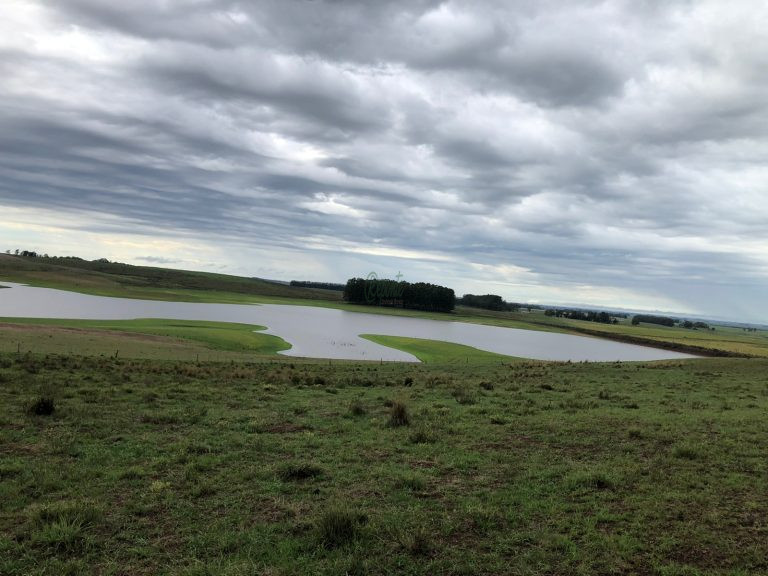 Fazenda em Cerro Largo/UY