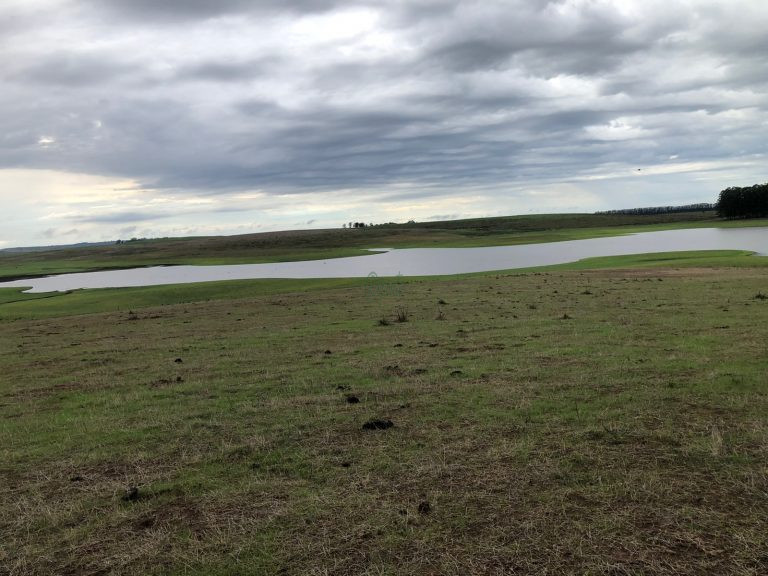 Fazenda em Cerro Largo/UY