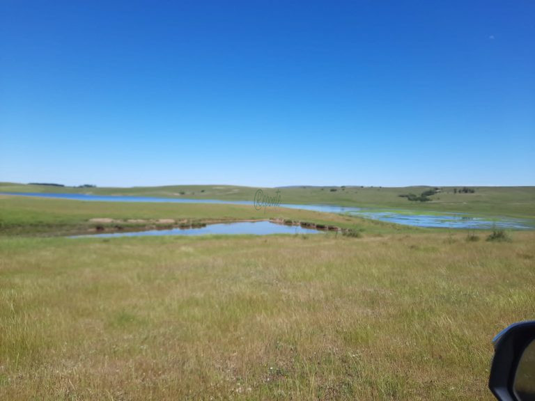 Fazenda em Cerro Largo – UY