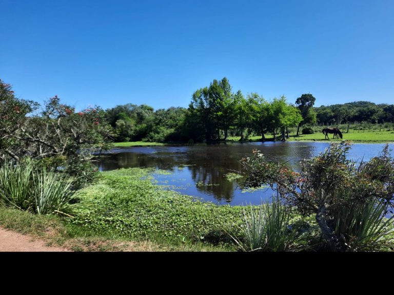 Fazenda em Cerro Largo – UY