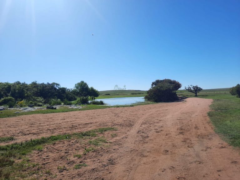 Fazenda em Cerro Largo – UY