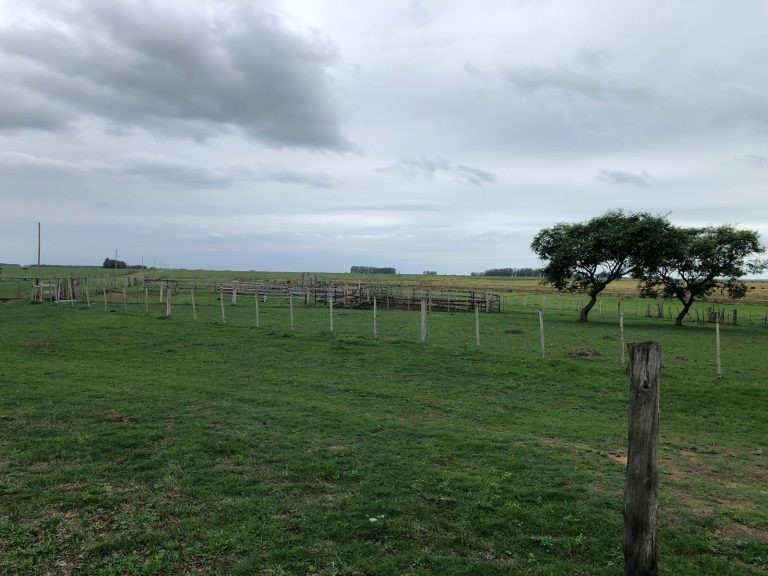 Fazenda em Aceguá – Uy