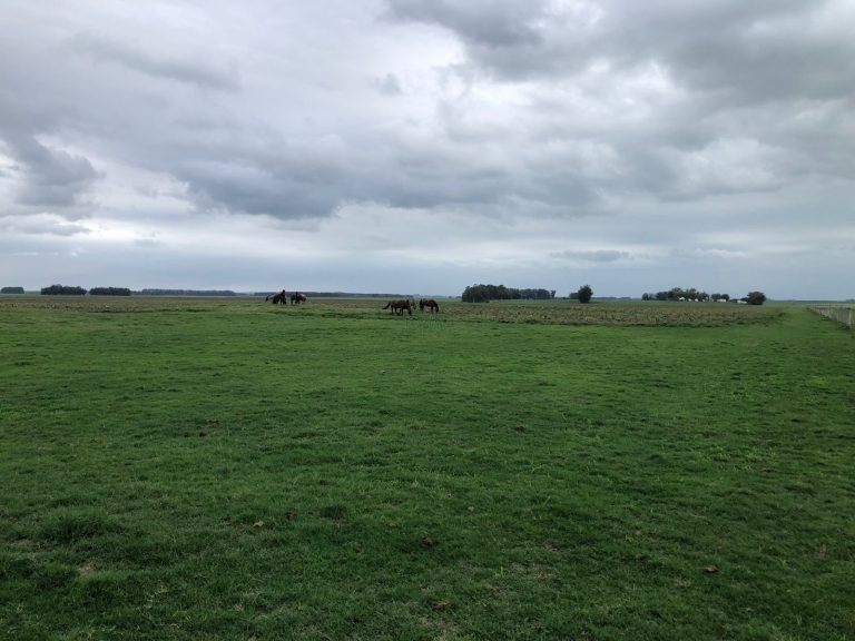 Fazenda em Aceguá – Uy