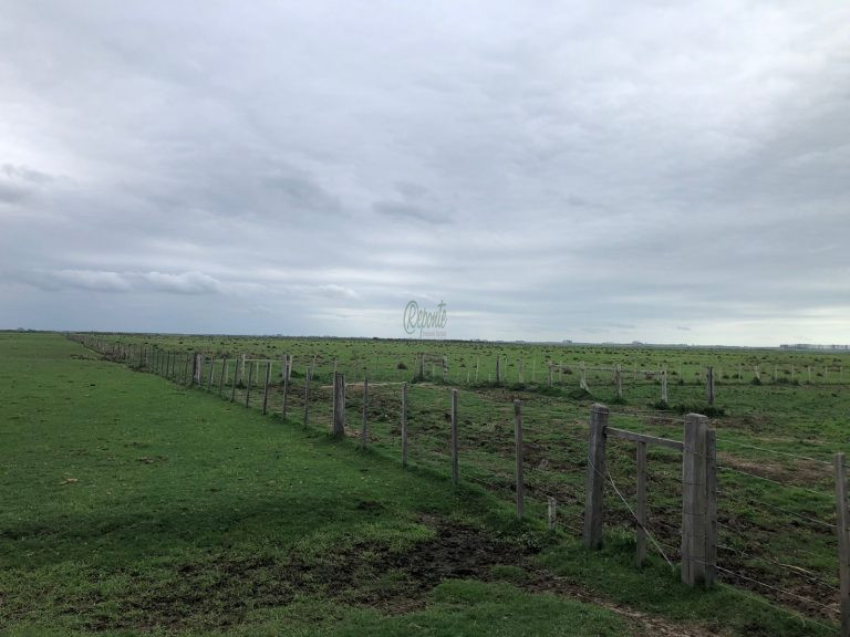 Fazenda em Aceguá – Uy