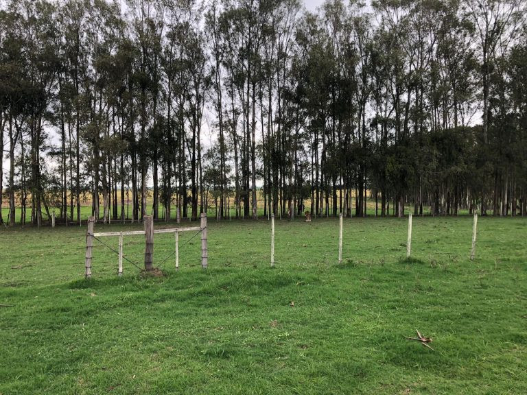 Fazenda em Aceguá – Uy