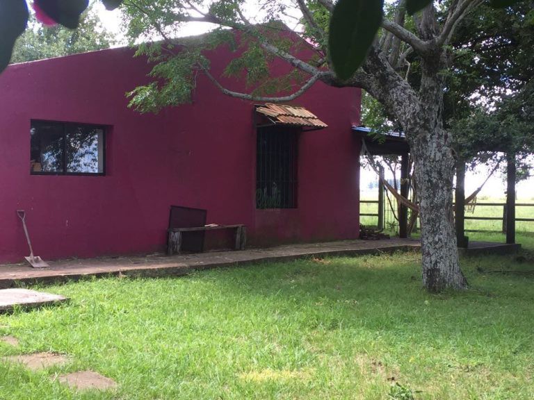 Fazenda na Região de Salto/UY