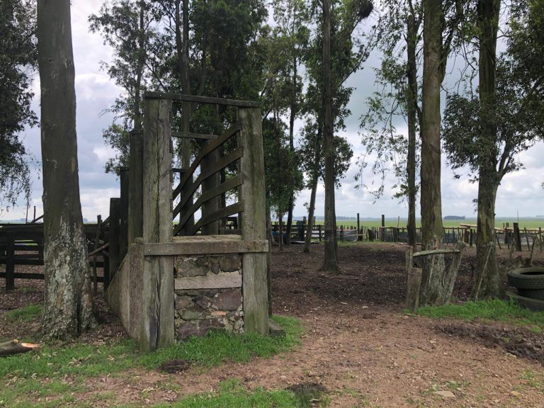 Fazenda em Rivera – 1100 hectares