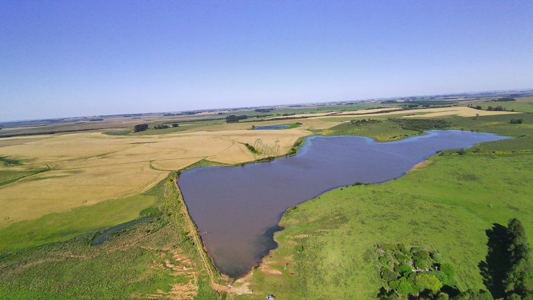 Fazenda em Cachoeira do Sul – 400has