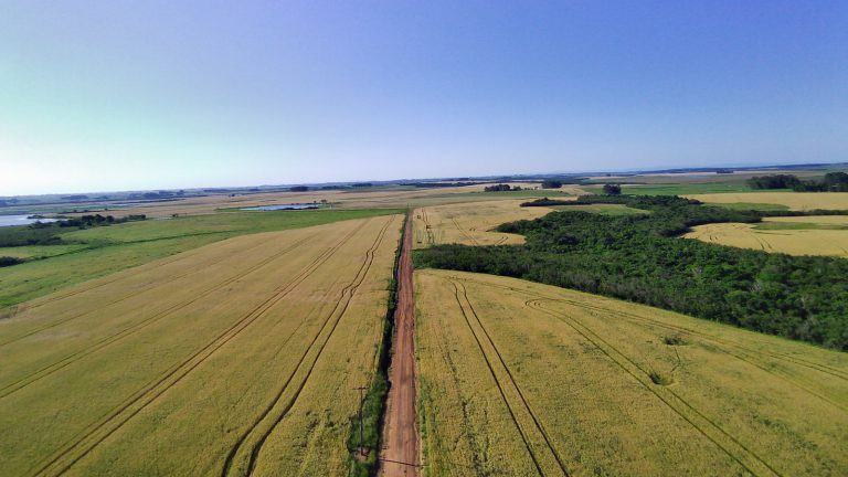 Fazenda em Cachoeira do Sul – 400has