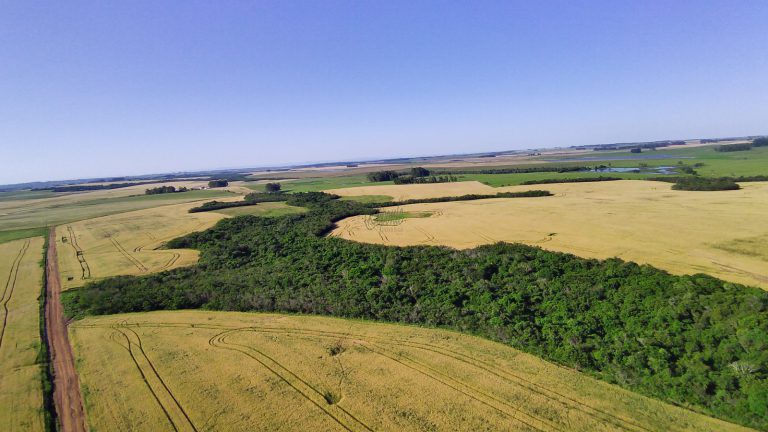 Fazenda em Cachoeira do Sul – 400has