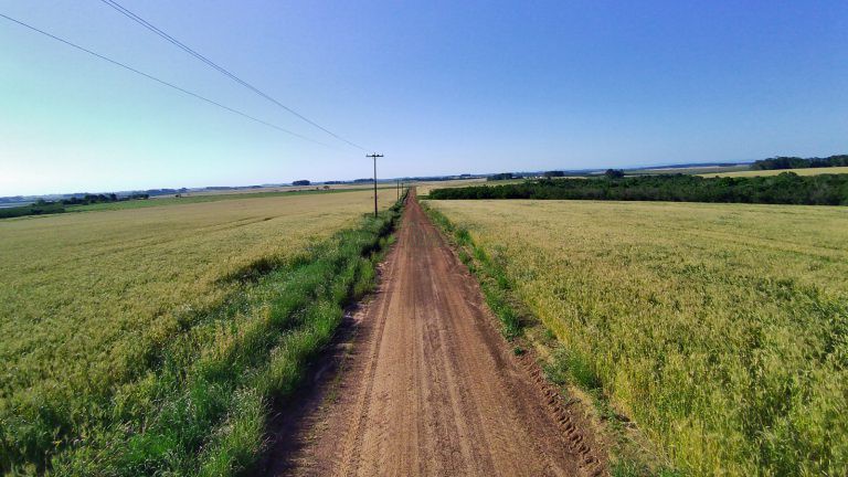 Fazenda em Cachoeira do Sul – 400has