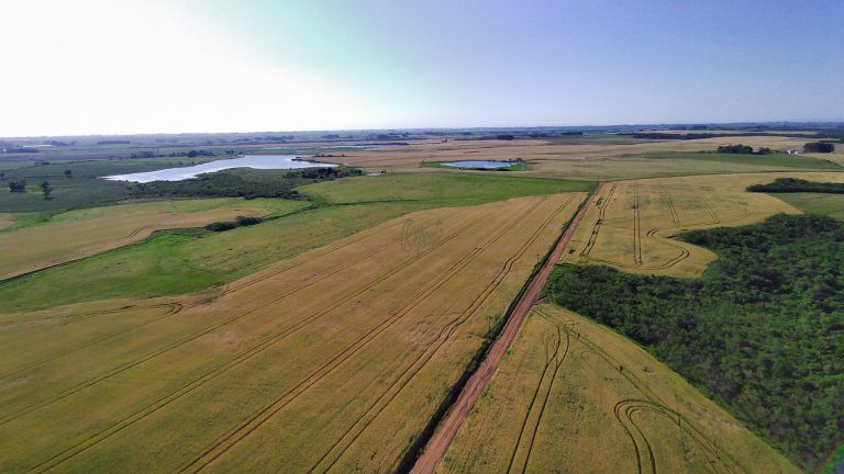 Fazenda em Cachoeira do Sul – 400has