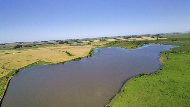 Fazenda em Cachoeira do Sul – 400has