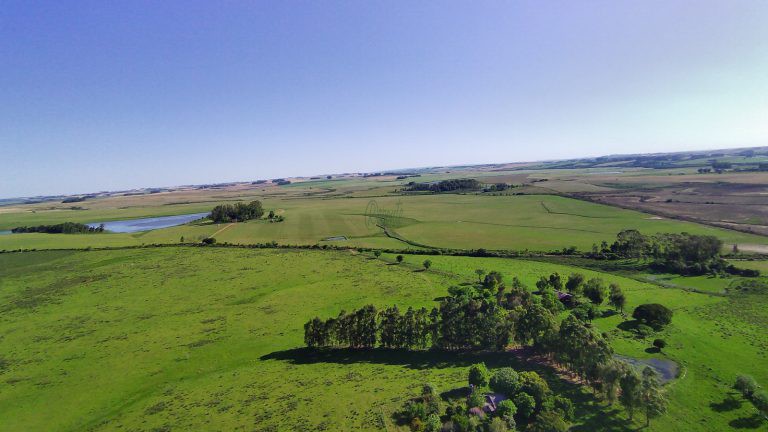 Fazenda em Cachoeira do Sul – 400has