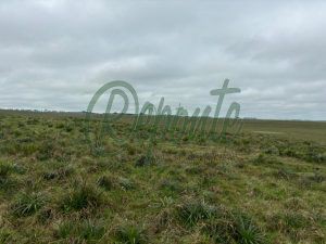 fazenda em cerro largo