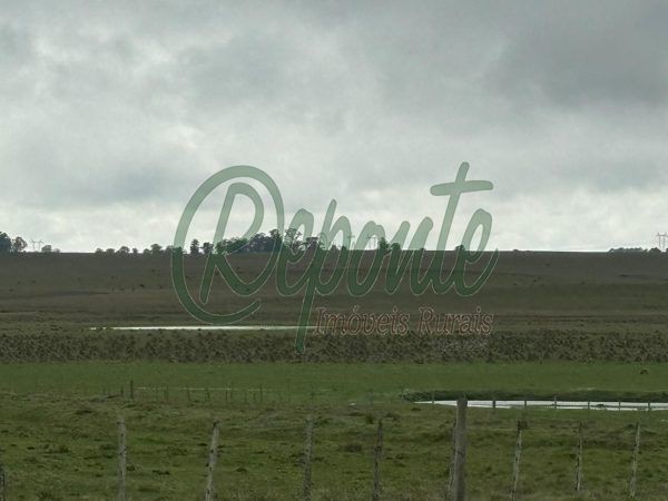 Fazenda em Cerro Largo com 1000 hectares