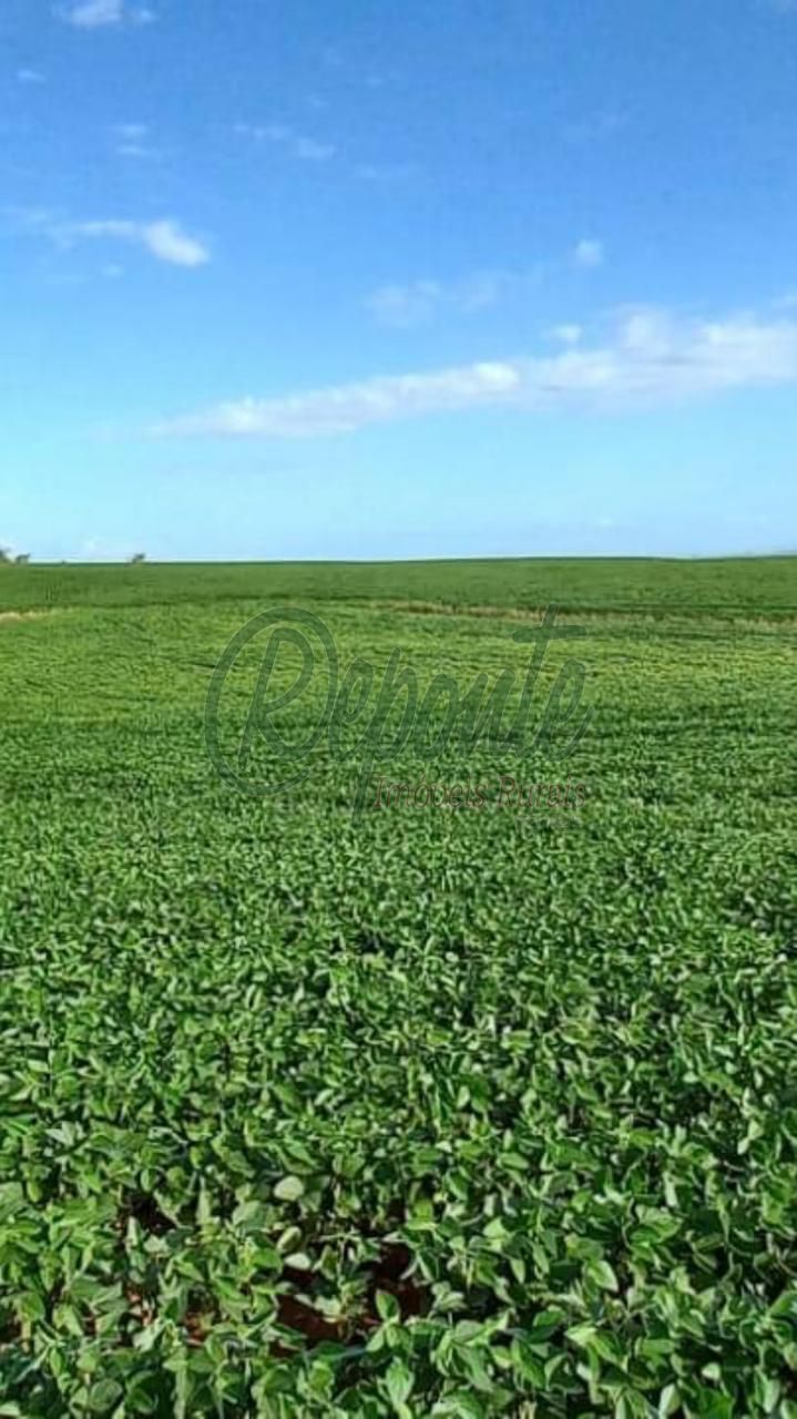 Fazenda em Pantano Grande com 410 hectares