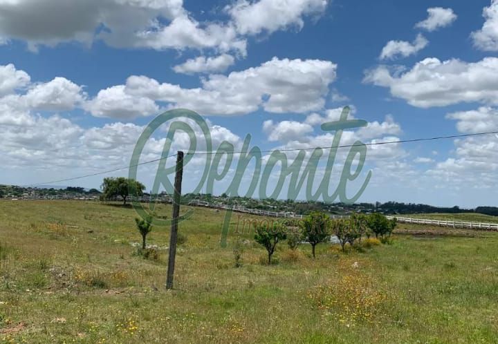 Fazenda em Vichadero – 147 hectares