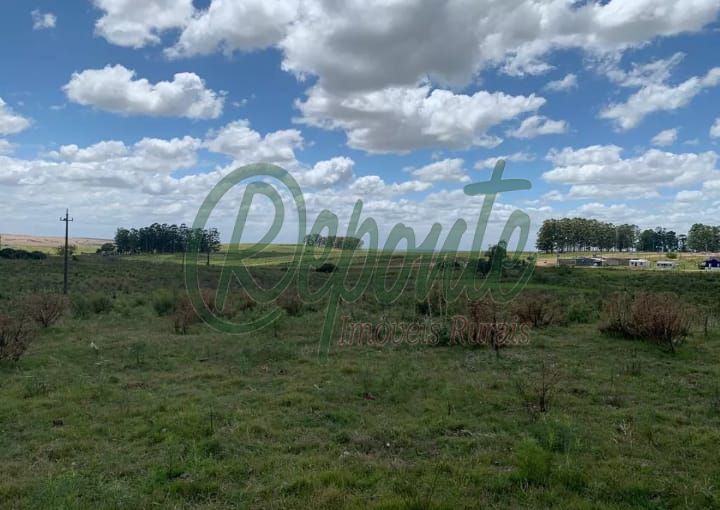 Fazenda em Vichadero – 147 hectares