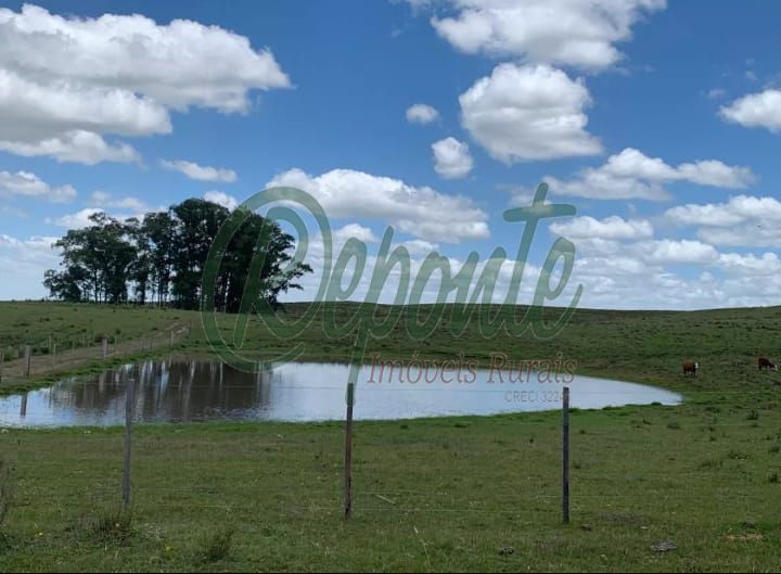 Fazenda em Vichadero – 147 hectares