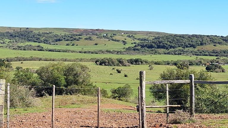 Fazenda em Tacuarembó/UY – 550 hectares