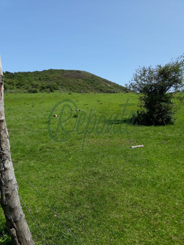 Fazenda em Tacuarembó/UY – 550 hectares