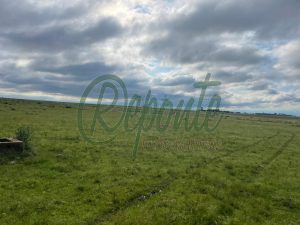 fazenda em tacuarembó